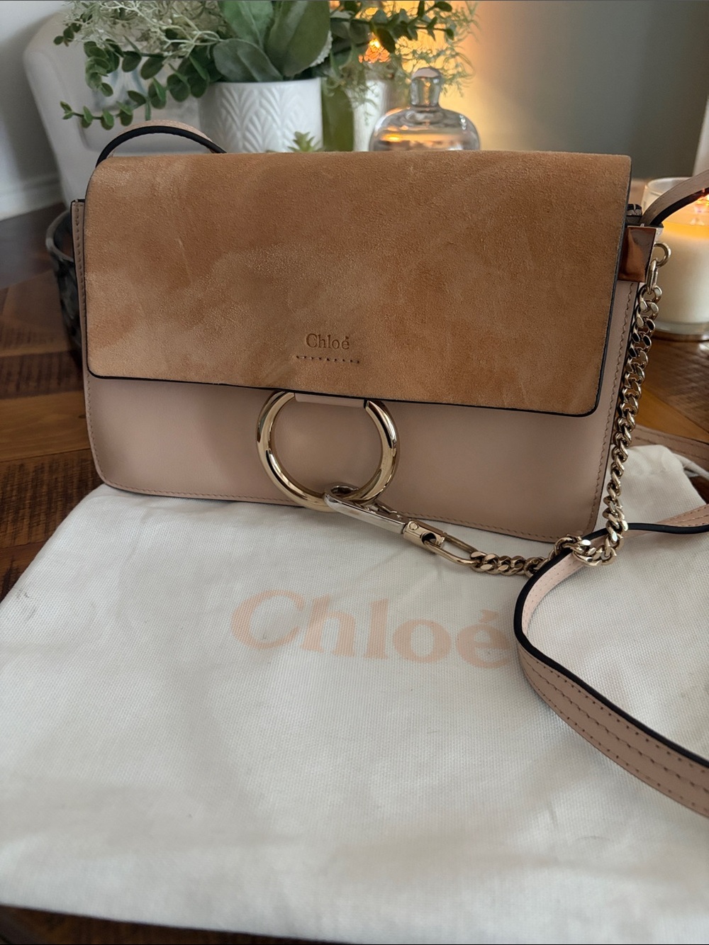 Chloe Faye Suede & Leather Shoulder Bag inBlush